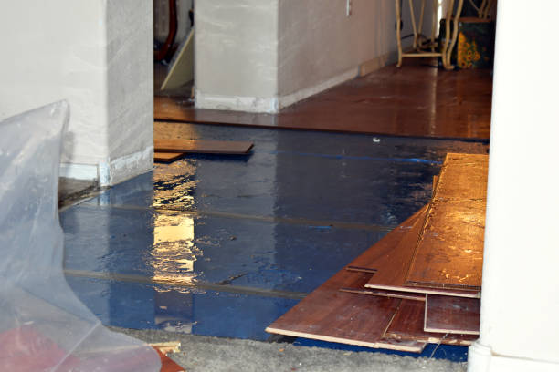 Professional Basement Flood Cleanup technician working in Central, SC